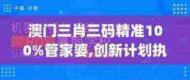 澳门三肖三码精准100%管家婆,创新计划执行_ROS2.33.83体验式版本