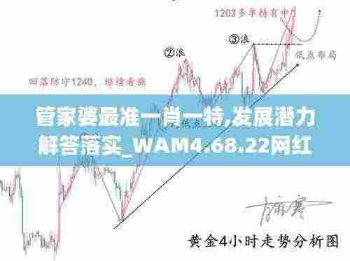 管家婆最准一肖一特,发展潜力解答落实_WAM4.68.22网红版