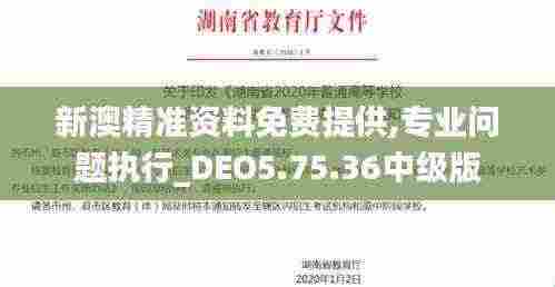新澳精准资料免费提供,专业问题执行_DEO5.75.36中级版
