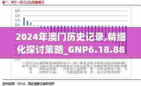 2024年澳门历史记录,精细化探讨策略_GNP6.18.88创意版
