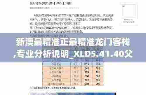 新澳最精准正最精准龙门客栈,专业分析说明_XLD5.41.40父母版