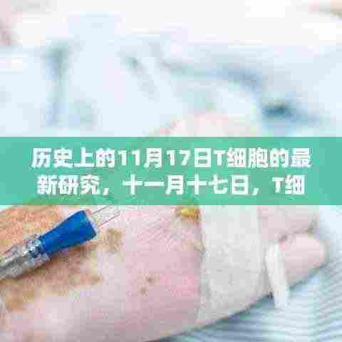 温馨日常与重大突破,11月17日T细胞新发现研究揭秘历史时刻