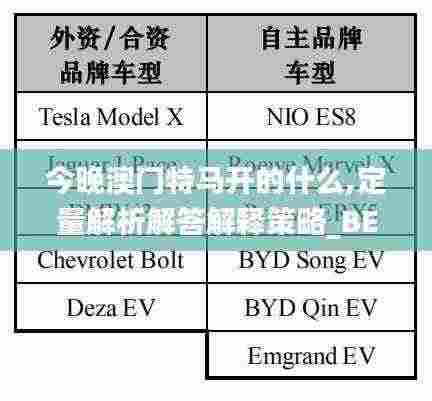 今晚澳门特马开的什么,定量解析解答解释策略_BEY6.10.72传承版