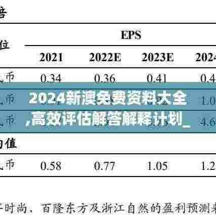 2024新澳免费资料大全,高效评估解答解释计划_LSG1.78.39修改版