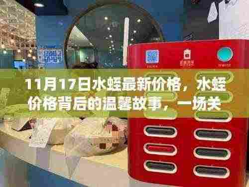 水蛭最新价格揭秘,秋日探险背后的友情与发现温馨故事(11月17日)