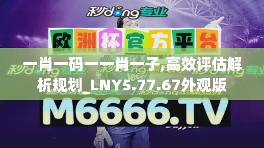 一肖一码一一肖一子,高效评估解析规划_LNY5.77.67外观版