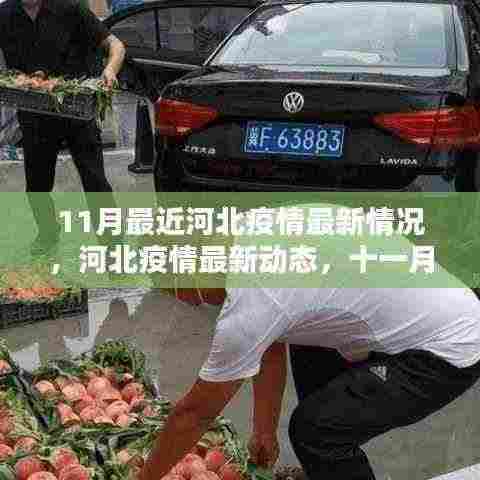 河北疫情最新动态，十一月下的挑战与坚定前行