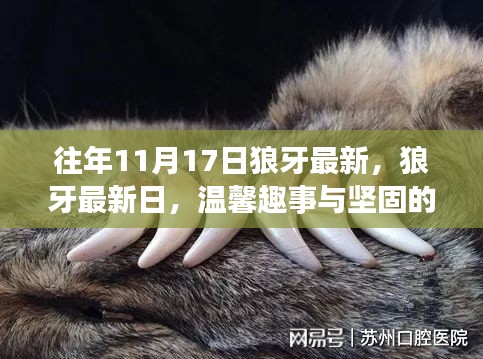 狼牙最新日,坚固友情与温馨趣事共融的时刻
