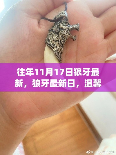 狼牙最新日,坚固友情与温馨趣事共融的时刻