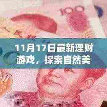11月17日理财游戏，走进自然之门，探索奇妙旅程遇见心中宁静之地