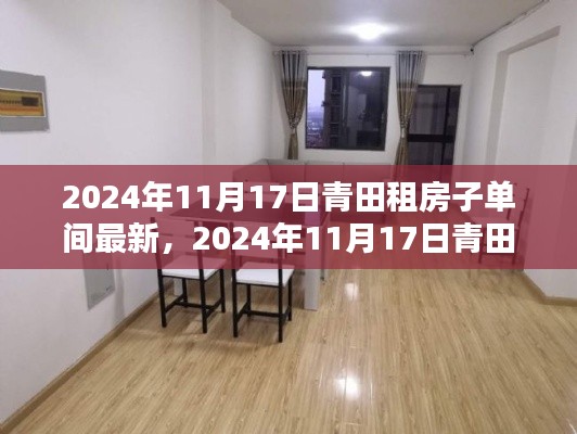 2024年青田最新单间租房攻略,租房市场最新动态与单间租房指南