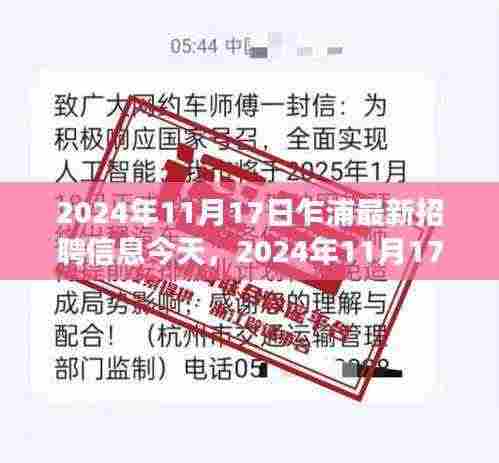 2024年11月17日乍浦最新招聘信息汇总与展望