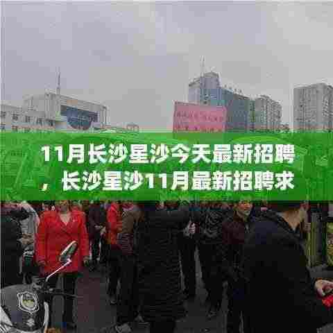 长沙星沙11月最新招聘全攻略,从零起步到成功应聘之路