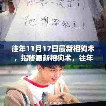 揭秘往年11月17日最新相狗术,洞察与探索的独特视角