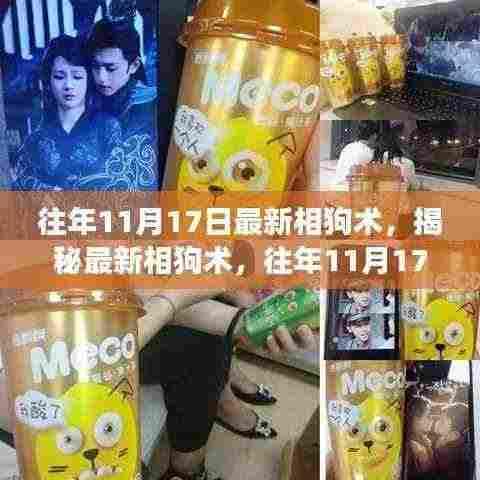 揭秘往年11月17日最新相狗术,洞察与探索的独特视角