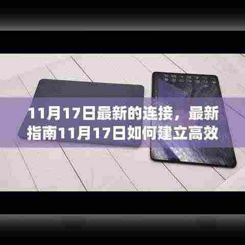 最新指南，11月17日如何建立高效连接——入门到精通的步骤详解