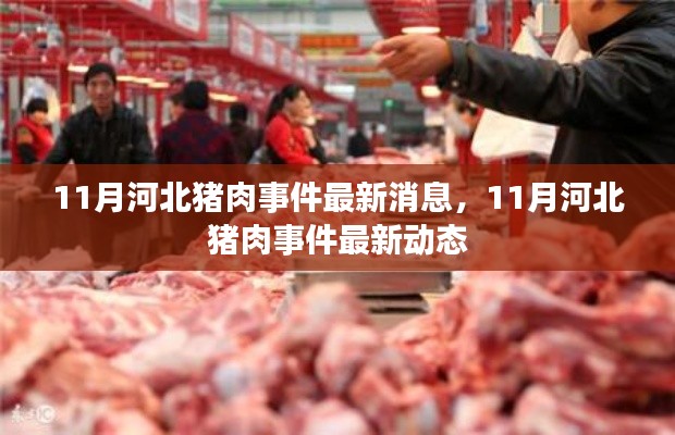 河北猪肉事件最新动态与消息更新,11月最新进展揭秘