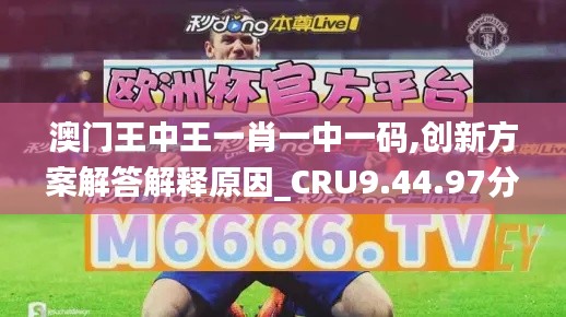 澳门王中王一肖一中一码,创新方案解答解释原因_CRU9.44.97分析版