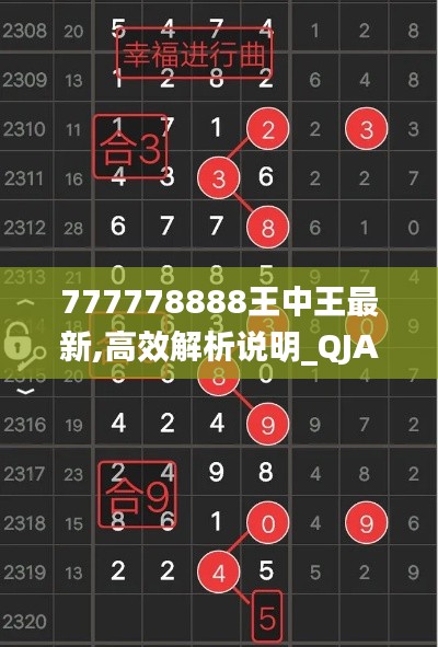 777778888王中王最新,高效解析说明_QJA4.69.95可变版