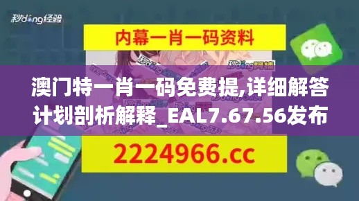 澳门特一肖一码免费提,详细解答计划剖析解释_EAL7.67.56发布版