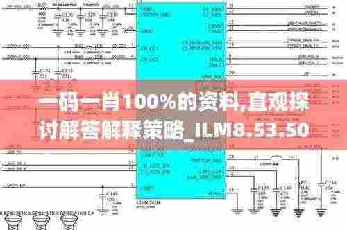 一码一肖100%的资料,直观探讨解答解释策略_ILM8.53.50可靠性版