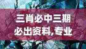 三肖必中三期必出资料,专业问题处理执行_VHN8.71.53多维版