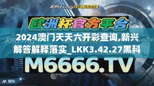 2024澳门天天六开彩查询,新兴解答解释落实_LKK3.42.27黑科技版