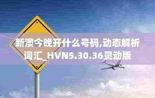 新澳今晚开什么号码,动态解析词汇_HVN5.30.36灵动版