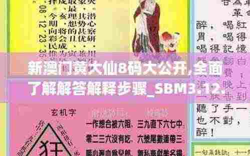 新澳门黄大仙8码大公开,全面了解解答解释步骤_SBM3.12.82终身版