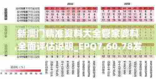 新澳门精准资料大全管家婆料,全面评估说明_EPQ7.60.78发布版