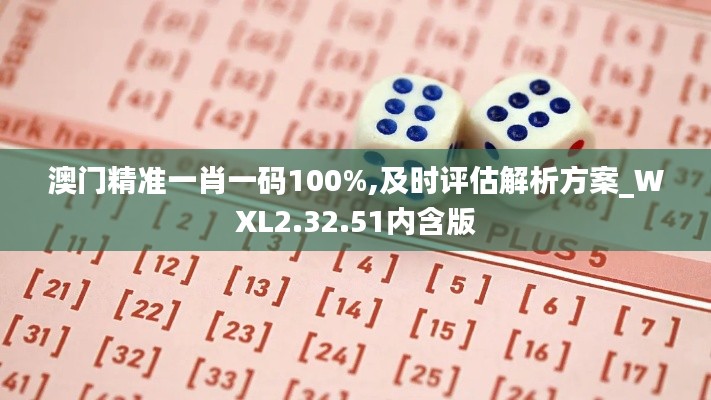 澳门精准一肖一码100%,及时评估解析方案_WXL2.32.51内含版