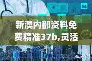 新澳内部资料免费精准37b,灵活解析设计_GMU6.66.55权限版