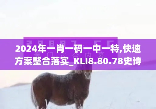 2024年一肖一码一中一特,快速方案整合落实_KLI8.80.78史诗版