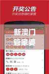 新澳门管家婆资料,速度至上方案评估_CHY6.66.74紧凑版