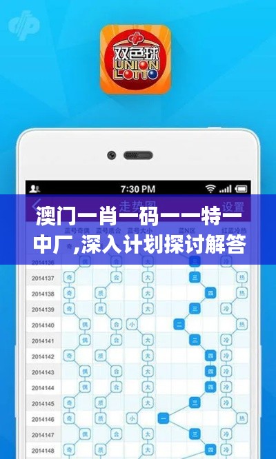 澳门一肖一码一一特一中厂,深入计划探讨解答_PRA5.33.76味道版