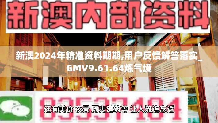 新澳2024年精准资料期期,用户反馈解答落实_GMV9.61.64炼气境