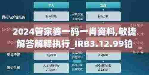2024管家婆一码一肖资料,敏捷解答解释执行_IRB3.12.99铂金版