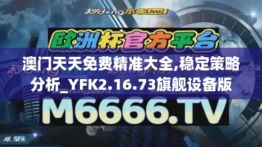 澳门天天免费精准大全,稳定策略分析_YFK2.16.73旗舰设备版