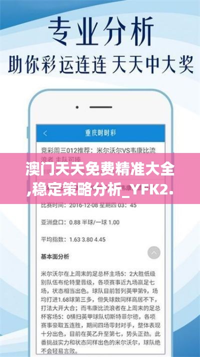 澳门天天免费精准大全,稳定策略分析_YFK2.16.73旗舰设备版