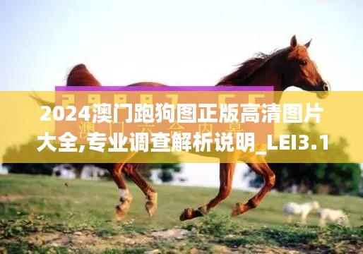 2024澳门跑狗图正版高清图片大全,专业调查解析说明_LEI3.11.88社交版