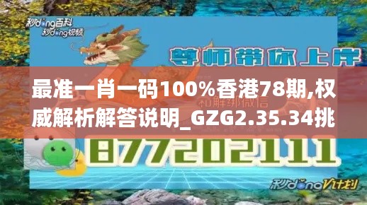 最准一肖一码100%香港78期,权威解析解答说明_GZG2.35.34挑战版