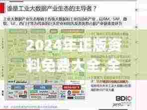 2024年正版资料免费大全,全面数据应用实施_WUA9.52.48动画版