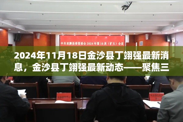 聚焦金沙县丁翊强,最新动态与深度解读(2024年11月18日)