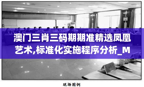 澳门三肖三码期期准精选凤凰艺术,标准化实施程序分析_MTI8.32.44设计师版