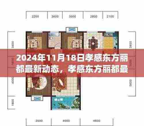 2024年11月18日孝感东方丽都最新动态深度解读与全方位评测