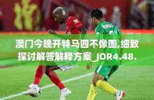 澳门今晚开特马四不像图,细致探讨解答解释方案_JOR4.48.55手游版