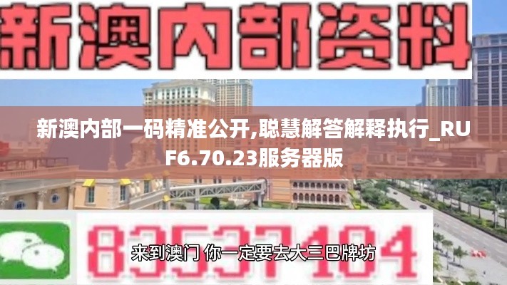 新澳内部一码精准公开,聪慧解答解释执行_RUF6.70.23服务器版