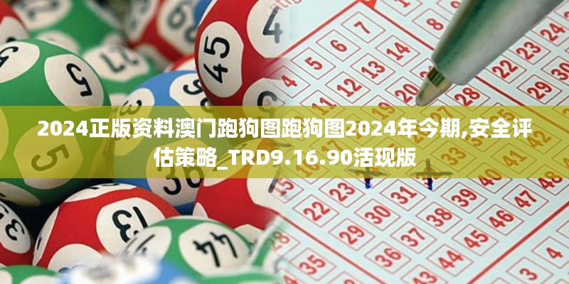 2024正版资料澳门跑狗图跑狗图2024年今期,安全评估策略_TRD9.16.90活现版