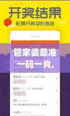 管家婆最准一码一肖,高效设计计划实施_WKZ3.25.68激励版