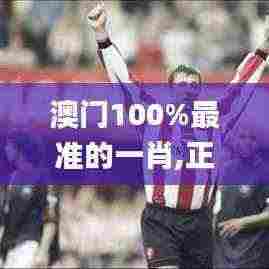 澳门100%最准的一肖,正统落实解答解释_JSF2.43.35国际版